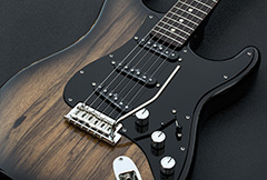 Gilmour Inspired Black Strat Parts
