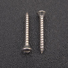 Stainless Steel Strap Button Mounting Screws, Phillips Oval Head #6 x 1''